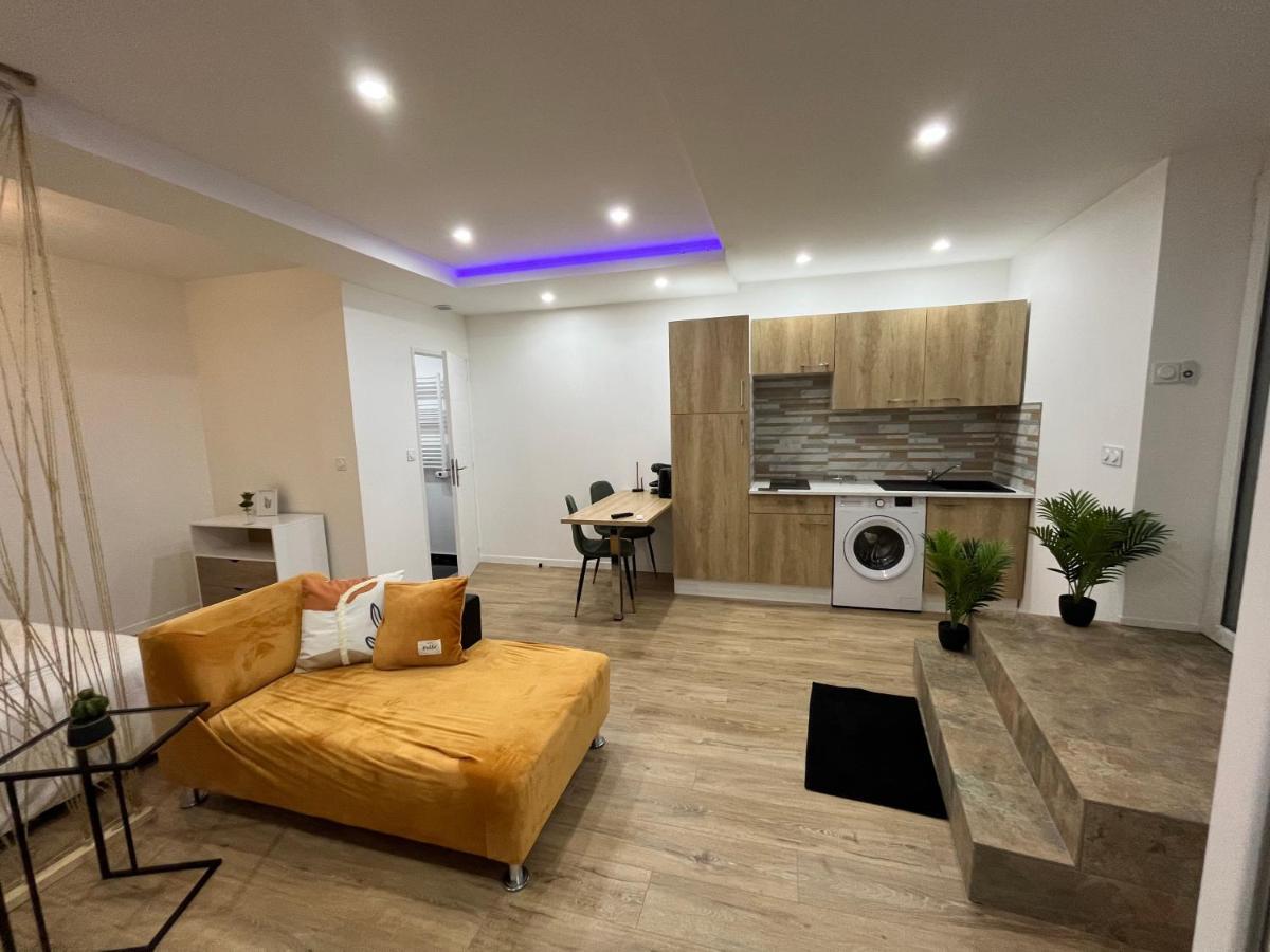 Appartement Luxe Jaune Saint-Etienne  Exteriér fotografie